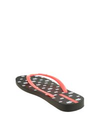 Chinelo-Ipanema-Estampado-de-Gatinho-Preto-8542802-Preto_3