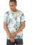 Camiseta-Estampada-Tropical-Rico-de-Souza-Cinza-Mescla-Claro-8535056-Cinza_Mescla_Claro_1