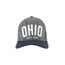 Bone--Ohio--Cinza-8523015-Cinza_1
