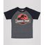 Camiseta-Infantil-Jurassic-Park-Raglan-Manga-Curta--Cinza-Mescla-Escuro-9674391-Cinza_Mescla_Escuro_1