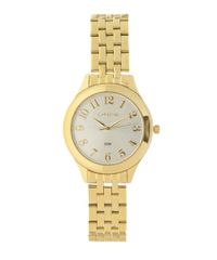 Kit-de-Relogio-Lince-Feminino-Analogico---Porta-Moedas---LRG4369L-K182S2KX-Dourado-8523763-Dourado_3