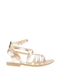Sandalia-Metalizada-Rose-8571342-Rose_1