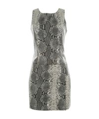 Vestido-Estampado-Snake-Pat-Pat-s-Cinza-8458195-Cinza_5