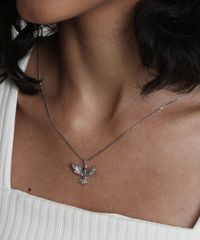 Colar-Feminino-Folheado-com-Pingente-de-Espirito-Santo-Prateado-9657504-Prateado_2