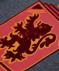 Camiseta-Infantil-Harry-Potter-Grifinoria-Manga-Curta-Cinza-Mescla-Escuro-9818720-Cinza_Mescla_Escuro_3