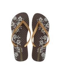 Chinelo-Ipanema-Floral-Marrom-8506434-Marrom_1
