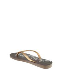 Chinelo-Ipanema-Floral-Marrom-8506434-Marrom_3