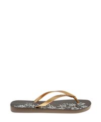 Chinelo-Ipanema-Floral-Marrom-8506434-Marrom_4