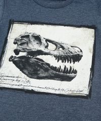 Camiseta-Infantil-Fossil-de-Dinossauro-Manga-Curta-Azul-Marinho-9885102-Azul_Marinho_3
