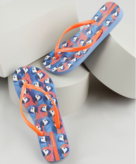 Chinelo-Feminino-Ipanema-Trendy-Estampado-de-Arara-Lilas-9925043-Lilas_1