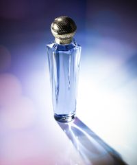 Perfume-Feminino-Shakira-Dream-Eau-de-Toillete-80ml-unico-9500691-Unico_5