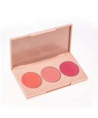 Paleta-de-Blush-Zodiaco-Sagitario-TB-Make-by-Mica-Rocha--unico-9948814-Unico_1