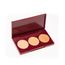 Paleta-de-Iluminadores-Zodiaco-Leao-TB-Make-by-Mica-Rocha--unico-9948860-Unico_1