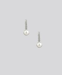 Brinco-com-Strass-Prateado-8626238-Prateado_1