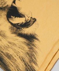 Camiseta-infantil-Leao-com-Capuz-Manga-Longa-Amarela-9885119-Amarelo_4