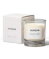 Vela-Perfumada-Oceane---Capim-Limao-e-Gengibre-Unico-9956075-Unico_2 Vela-Perfumada-Oceane---Capim-Limao-e-Gengibre-Unico-9956075-Unico_2