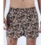 Samba-Cancao-Masculina-Tazmania-Looney-Tunes-Marrom-9949608-Marrom_1
