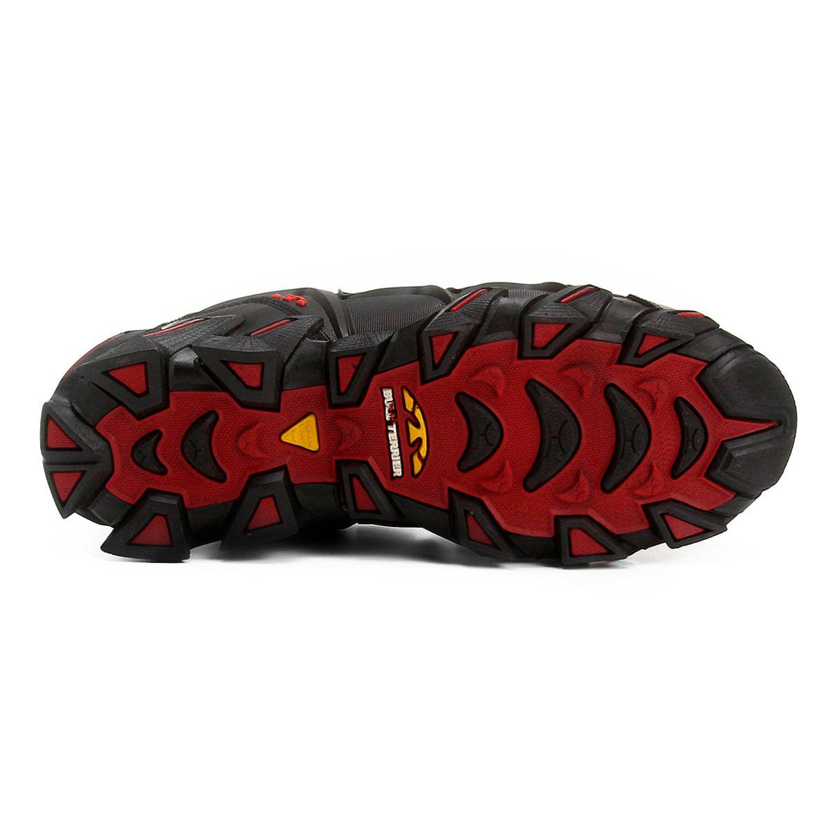 tenis bull terrier cyber