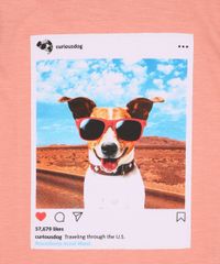 Camiseta-Infantil-Cachorro--Curious-Dog--Manga-Curta-Coral-9970632-Coral_3