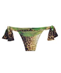 7828307_2.jpg 7828307_2.jpg