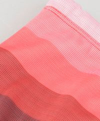 Sunga-Listrada-Vermelha-8793740-Vermelho_3