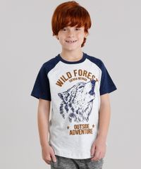 Camiseta-Infantil-Raglan-Lobo-Manga-Curta-Gola-Careca-Cinza-Mescla-Claro-9142284-Cinza_Mescla_Claro_1