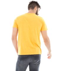 7963747_3