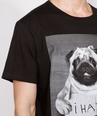 Camiseta-Masculina-Manga-Curta-Cachorro--I-Hate-Cats--Gola-Careca-Preta-9973214-Preto_5