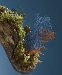 Perfume-Nº-2-Frescor-Extremo-Victorio-e-Lucchino-Feminino-Eau-de-Toilette-150ml-unico-9994025-Unico_4 Perfume-Nº-2-Frescor-Extremo-Victorio-e-Lucchino-Feminino-Eau-de-Toilette-150ml-unico-9994025-Unico_4