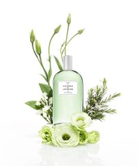 Perfume-Nº-3-Iris-Luminoso-Victorio-e-Lucchino-Feminino-Eau-de-Toilette-150ml-unico-9994026-Unico_2 Perfume-Nº-3-Iris-Luminoso-Victorio-e-Lucchino-Feminino-Eau-de-Toilette-150ml-unico-9994026-Unico_2