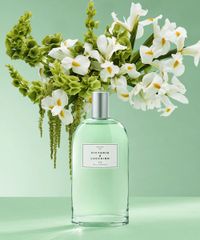 Perfume-Nº-3-Iris-Luminoso-Victorio-e-Lucchino-Feminino-Eau-de-Toilette-150ml-unico-9994026-Unico_3 Perfume-Nº-3-Iris-Luminoso-Victorio-e-Lucchino-Feminino-Eau-de-Toilette-150ml-unico-9994026-Unico_3