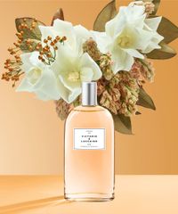 Perfume-Nº-6-Magnolia-Sensual-Victorio-e-Lucchino-Feminino-Eau-de-Toilette-150ml-unico-9994023-Unico_3