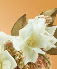Perfume-Nº-6-Magnolia-Sensual-Victorio-e-Lucchino-Feminino-Eau-de-Toilette-150ml-unico-9994023-Unico_4