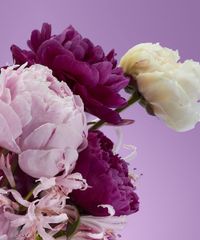 Perfume-Nº-4-Peonia-Imperial-Victorio-e-Lucchino-Feminino-Eau-de-Toilette-150ml-unico-9994020-Unico_4 Perfume-Nº-4-Peonia-Imperial-Victorio-e-Lucchino-Feminino-Eau-de-Toilette-150ml-unico-9994020-Unico_4