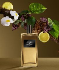 Perfume-Nº-3-Sedduction-Magnetica-Victorio-e-Lucchino-Feminino-Eau-de-Toilette-150ml-unico-9994021-Unico_2 Perfume-Nº-3-Sedduction-Magnetica-Victorio-e-Lucchino-Feminino-Eau-de-Toilette-150ml-unico-9994021-Unico_2