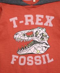 Camiseta-Infantil-T-Rex-com-Capuz-e-Recorte-Manga-Longa-Gola-Careca-Laranja-Escuro-9979967-Laranja_Escuro_2