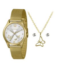 9992558-Dourado_1