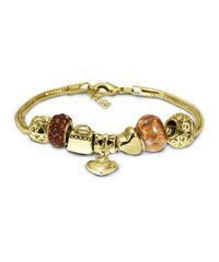 9992176-Dourado_2