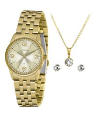 9992473-Dourado_1