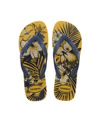 9951904-Amarelo_1