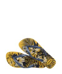 9951904-Amarelo_3