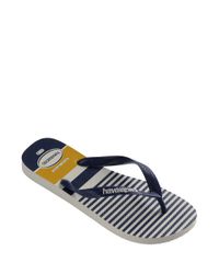 9951906-Azul_2