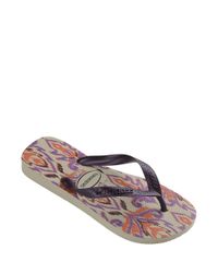 9956033-Lilas_2