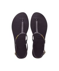 9716609-Roxo_1