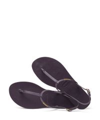9716609-Roxo_2
