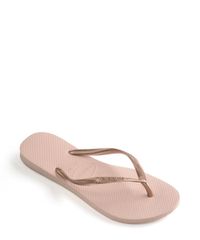 9955797-Rosa_2