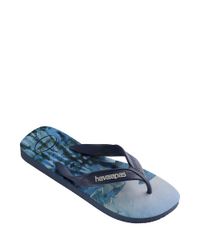 9956449-Azul_2