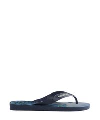 9956449-Azul_3