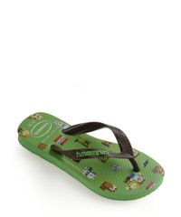 9951086-Verde_3