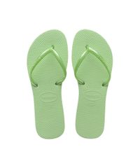 9955786-Verde_1